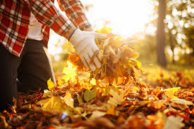 FALL CLEANUP