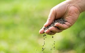 LAWN FERTILIZATION