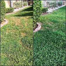 LAWN FERTILIZATION