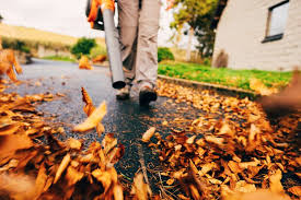 FALL CLEANUP