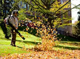 FALL CLEANUP