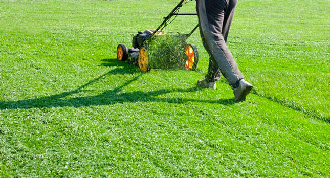 LAWN MAINTENANCE SCHEDULE