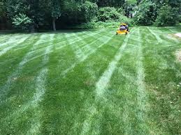 LAWN MAINTENANCE SCHEDULE