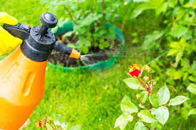 NATURAL PEST CONTROL METHODS