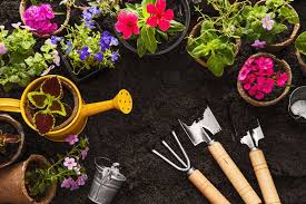 SPRING GARDENING